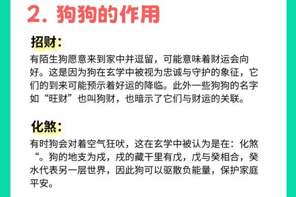 82年属狗人的命运与禁忌解析,助你把握人生机遇! 82年属狗人的命运与禁忌解析,助你把握人生机遇!