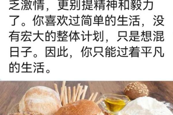 老鼠的命运:探寻1984年出生者的命理之路与生活启示 老鼠的命运:探寻1984年出生者的命理之路与生活启示