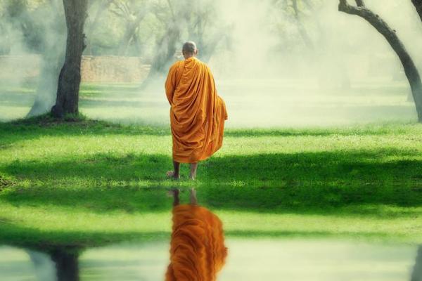 解读贪狼命局:木三局的深奥与人生智慧 解读贪狼命局:木三局的深奥与人生智慧