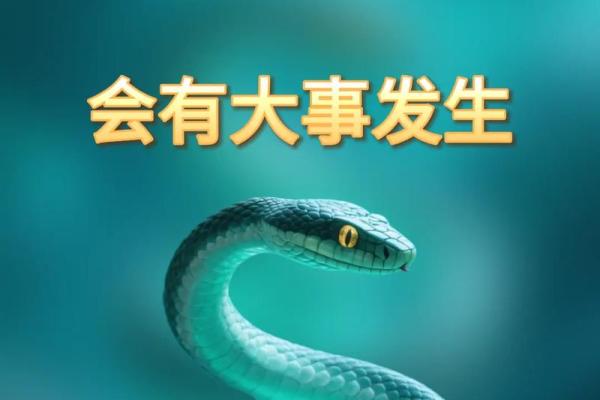 1965年蛇年生人命运解析与生活智慧 1965年蛇年生人命运解析与生活智慧