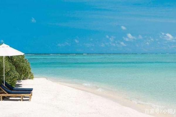 探寻1966年出生的水命之谜：命理与生活的交织