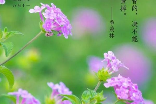 探索乙丑海中金命的喜好与命运:寻找生命的光芒 探索乙丑海中金命的喜好与命运:寻找生命的光芒