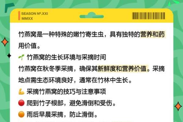 竹韵人生：解密吃竹子的人生哲学与命运奥秘