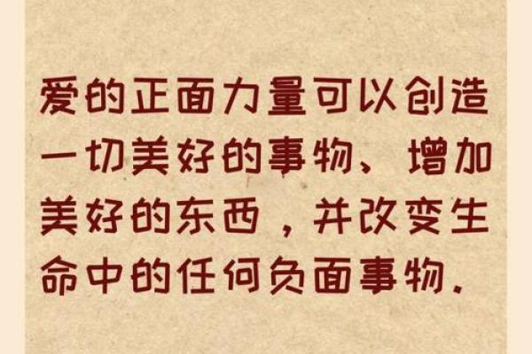 爱命:关于生命意义的深刻探索与思考 爱命:关于生命意义的深刻探索与思考