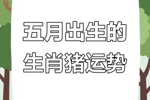 1978年属猪的人:命运解析与人生智慧分享 1978年属猪的人:命运解析与人生智慧分享