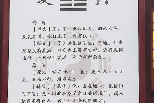 命卦与变卦的神秘世界:解读卦象背后的深层含义 命卦与变卦的神秘世界:解读卦象背后的深层含义