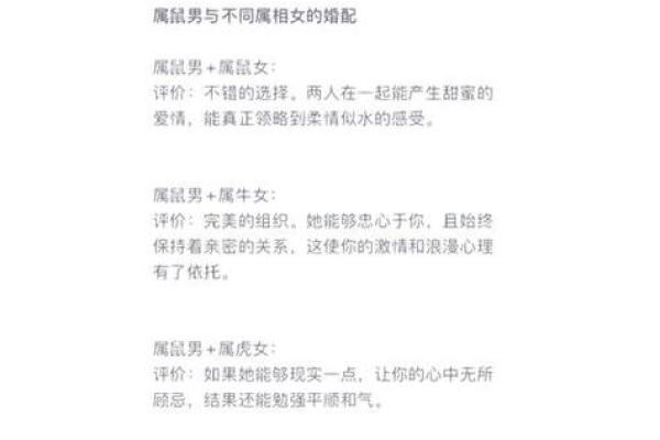 属相鼠的人命运解析:鼠年生人的奥秘与机遇 属相鼠的人命运解析:鼠年生人的奥秘与机遇