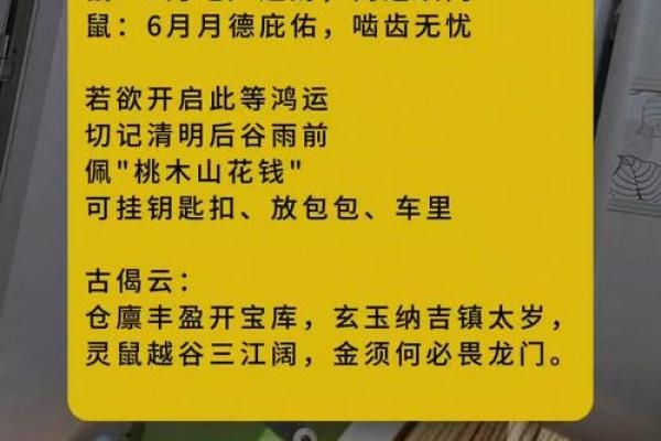 属相鼠的人命运解析:鼠年生人的奥秘与机遇 属相鼠的人命运解析:鼠年生人的奥秘与机遇