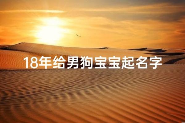 探秘2018年属狗男宝宝的命运与未来发展之路 探秘2018年属狗男宝宝的命运与未来发展之路