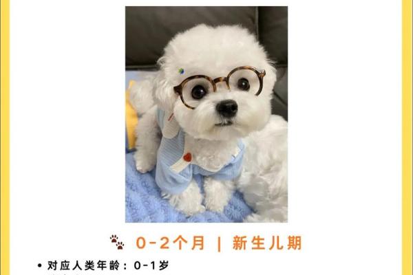 探秘2018年属狗男宝宝的命运与未来发展之路 探秘2018年属狗男宝宝的命运与未来发展之路