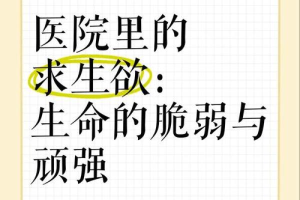 孩子还命:为何我们应关注儿童生命的珍贵与脆弱 孩子还命:为何我们应关注儿童生命的珍贵与脆弱
