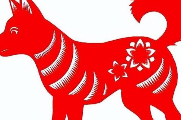 揭秘1958年属狗人的命运与性格特征 揭秘1958年属狗人的命运与性格特征