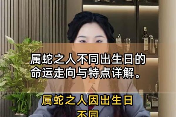 2003年出生属蛇的人:命运与个性解析! 2003年出生属蛇的人:命运与个性解析!