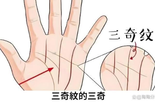 揭开掌纹之谜：探寻状元命格的秘密