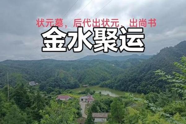 金水命：天生的发财命，财富与运势的秘密探究