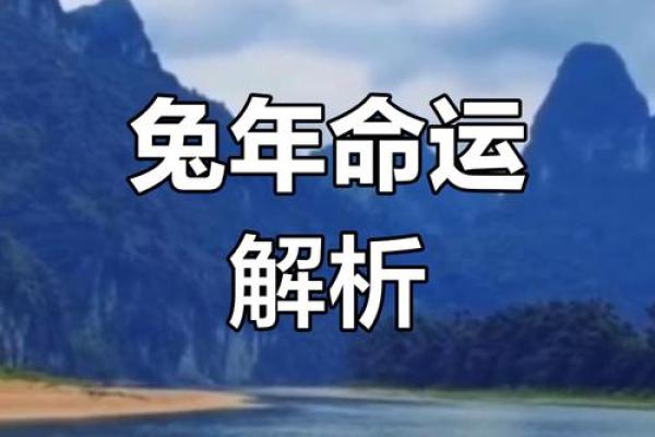兔年命理解析:探索不同兔年的命运与个性特征 兔年命理解析:探索不同兔年的命运与个性特征