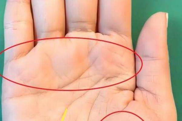 手掌特别大的人，有着怎样的命运与特质？