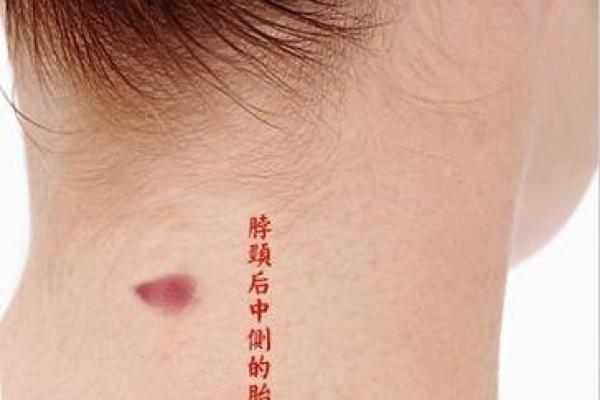 女人脖子细的命运解读:优雅与机遇交织的人生之路 女人脖子细的命运解读:优雅与机遇交织的人生之路