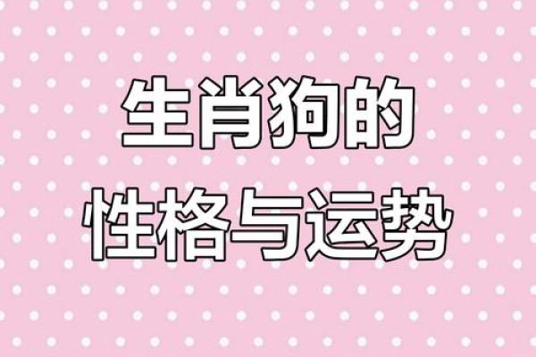 揭秘70年狗人的命运:缺什么生肖才幸福 揭秘70年狗人的命运:缺什么生肖才幸福