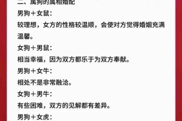 揭秘70年狗人的命运:缺什么生肖才幸福 揭秘70年狗人的命运:缺什么生肖才幸福