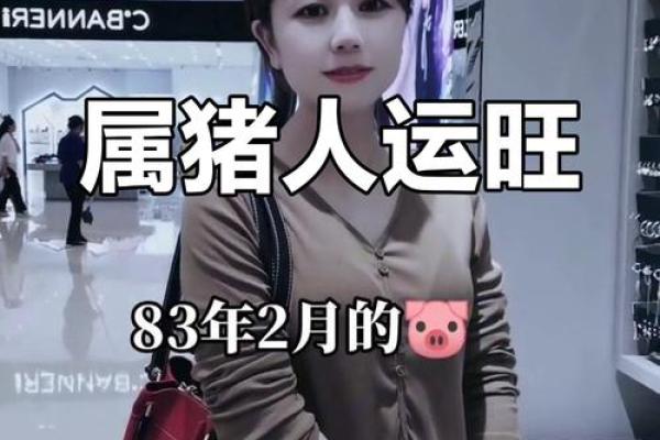 一九九五年属猪的命运解析与人生运势展望 一九九五年属猪的命运解析与人生运势展望