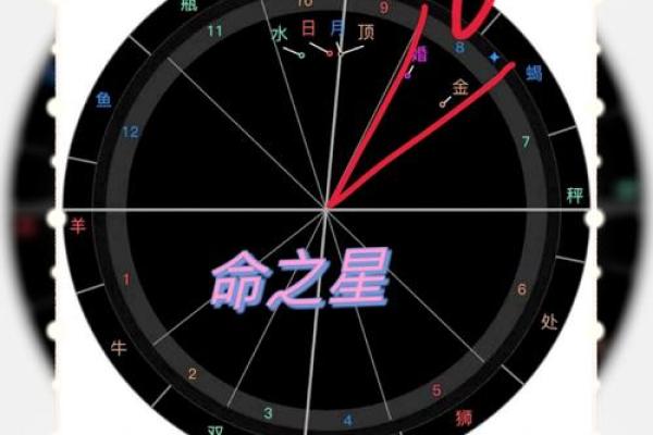 命盘双星组合的神秘力量与人生启示 命盘双星组合的神秘力量与人生启示