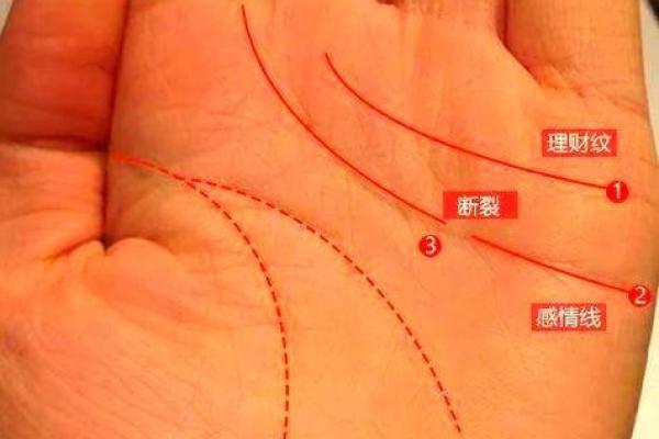 揭示手相中的婚姻隐患:那些最可能影响命运的女性手相特征 揭示手相中的婚姻隐患:那些最可能影响命运的女性手相特征