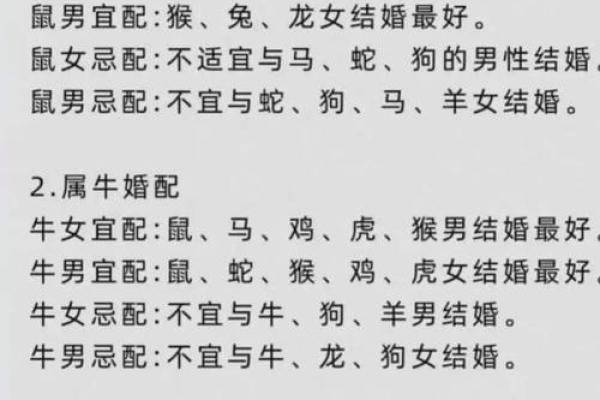 1993年属狗人的命运与性格解析:犬年的星光之路 1993年属狗人的命运与性格解析:犬年的星光之路