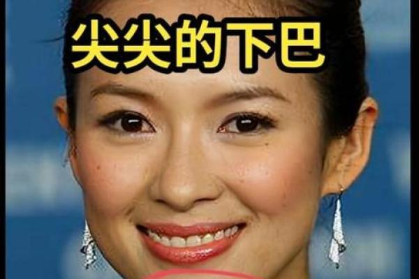 揭秘下颌凹陷:影响命运的隐秘特征与历史渊源 揭秘下颌凹陷:影响命运的隐秘特征与历史渊源