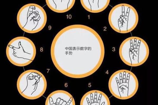 脚趾长相秘密：你未曾了解的命运与性格之间的联系