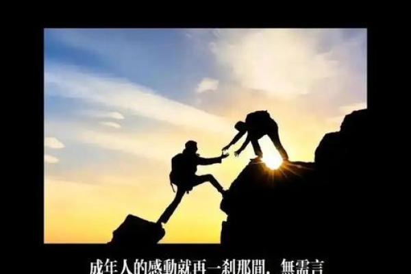 生活的命运:在逆境中成长的王者之路 生活的命运:在逆境中成长的王者之路