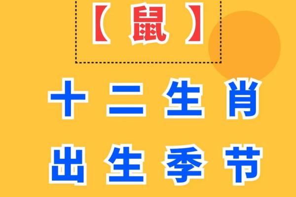 土鼠命的颜色选择:让你的运势更顺畅! 土鼠命的颜色选择:让你的运势更顺畅!