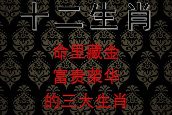 解密生肖:哪些生肖女注定富贵荣华? 解密生肖:哪些生肖女注定富贵荣华?