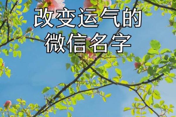 如何根据命理缺失选取最适合的名字,助你一生好运连连! 如何根据命理缺失选取最适合的名字,助你一生好运连连!