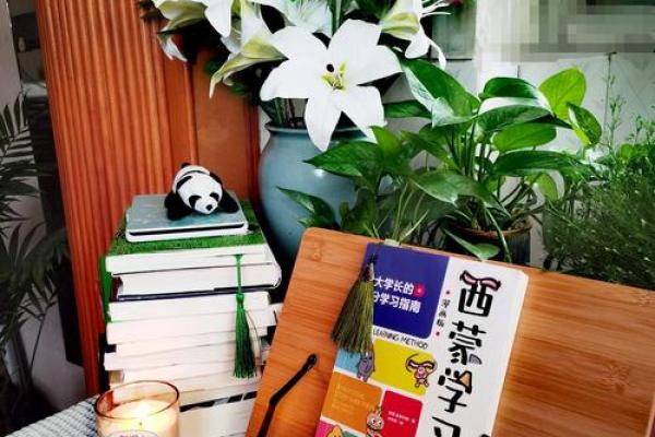 土命学生书桌摆设的秘密:提升学习氛围与运势的方法 土命学生书桌摆设的秘密:提升学习氛围与运势的方法