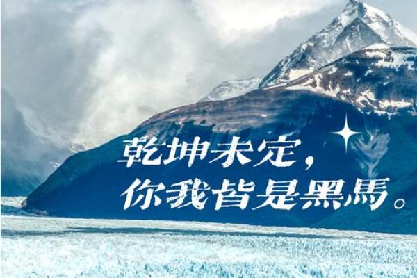 2017年的命运解析:揭示你我命中的秘密与机遇 2017年的命运解析:揭示你我命中的秘密与机遇