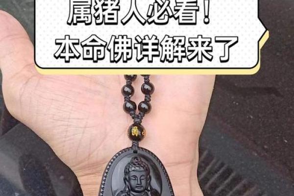 1994年属猪人的命运解析:性格、事业与爱情的全面剖析 1994年属猪人的命运解析:性格、事业与爱情的全面剖析