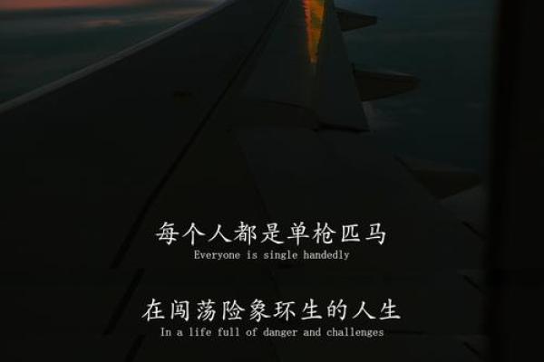 什么命什么，探索人生的可能与选择