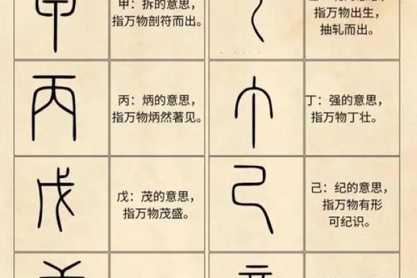 探索戊寅、甲寅、癸未、庚申八字命理的奥秘与人生启示