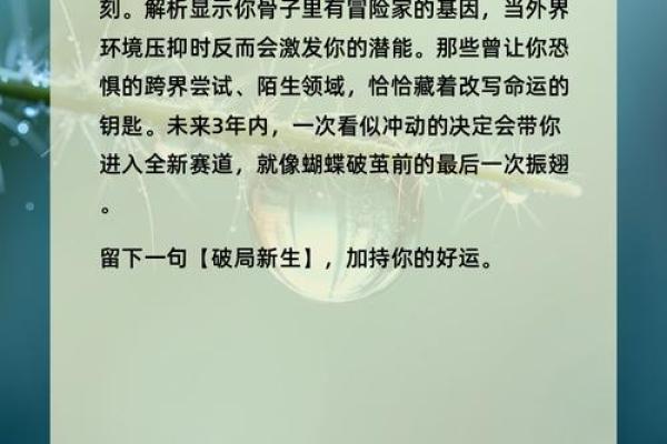 探索命运的奥秘：如何查找自己的命格与人生轨迹