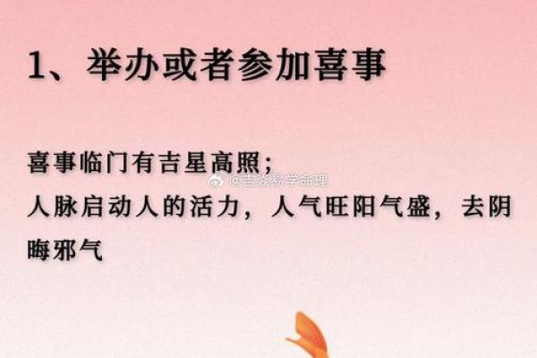 探索猪木命的颜色选择:与命理相辅相成的颜色之美 探索猪木命的颜色选择:与命理相辅相成的颜色之美