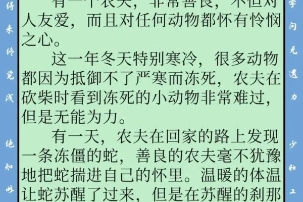 1965年:蛇年的人生旅程与命运解读 1965年:蛇年的人生旅程与命运解读