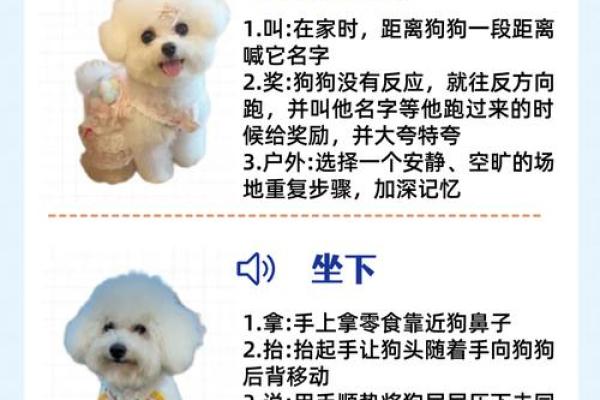 2018年属狗女孩命运解析:如何把握人生机会,让幸福伴随左右! 2018年属狗女孩命运解析:如何把握人生机会,让幸福伴随左右!