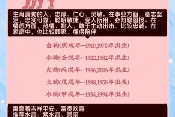 94年出生的人属狗：命运与性格的完美结合