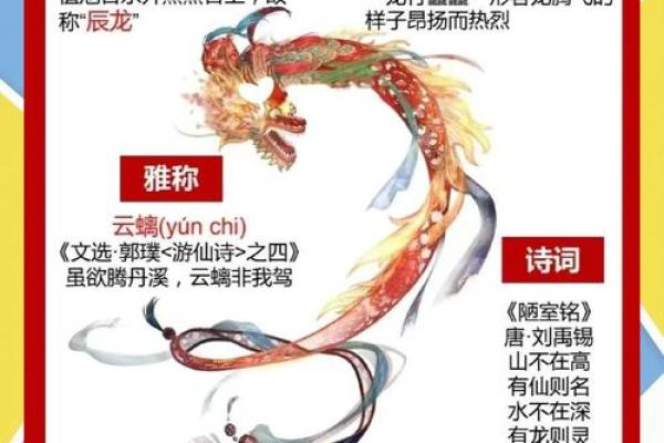 阴历11初10出生的人命理解析：揭开命运的神秘面纱