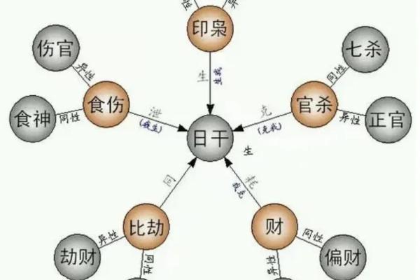 深度解读命理学：男命看财官，女命看官杀的深层含义与应用
