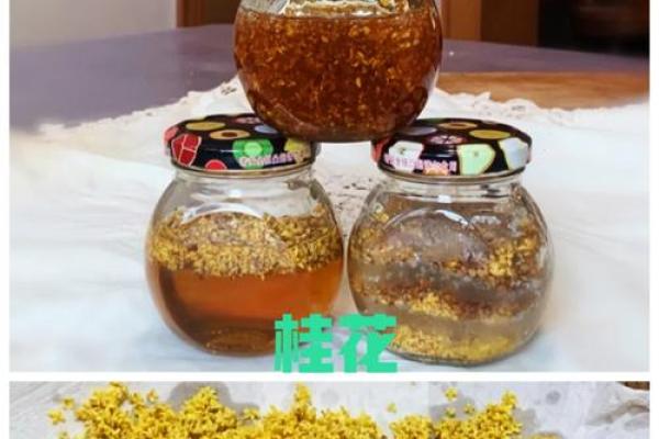 桂花命格：香气四溢的女孩如何展现独特魅力