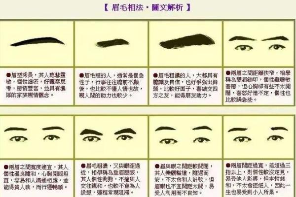 眉毛粗的人命运分析：性格与运势的深层联系