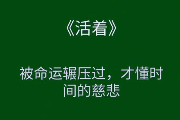 平地木命的独特魅力与生活启示