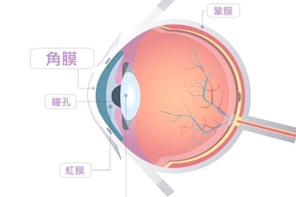 探索眼睛命运的奥秘:你是否知道视力与命运的关联? 探索眼睛命运的奥秘:你是否知道视力与命运的关联?